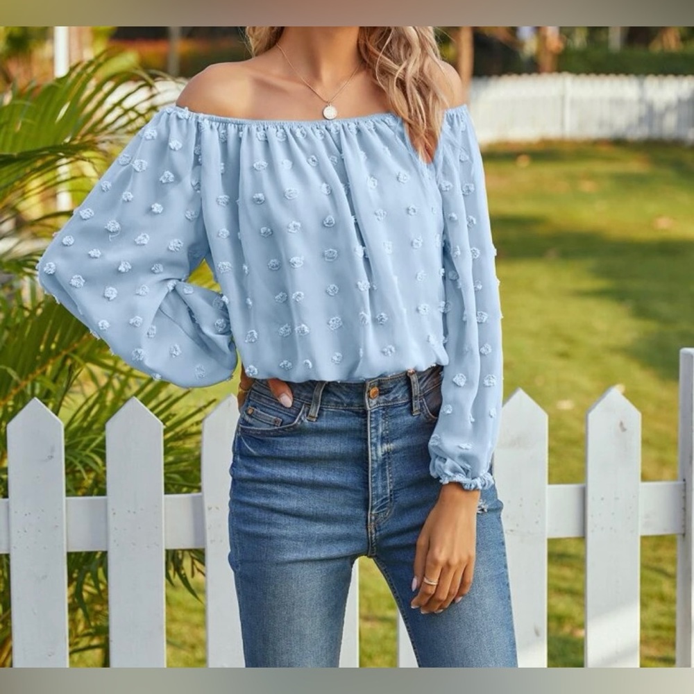 Shein Chiffon Swiss Dot Bishop Sleeve Blouse